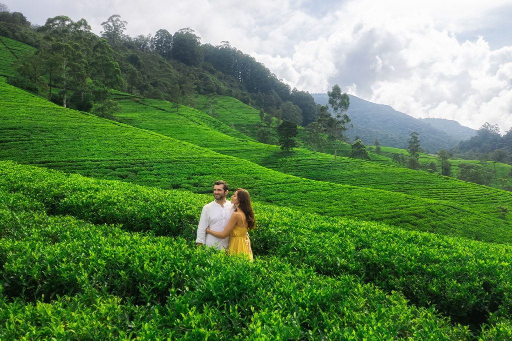 Signature Romantic Tour: Whispers of Sri Lanka